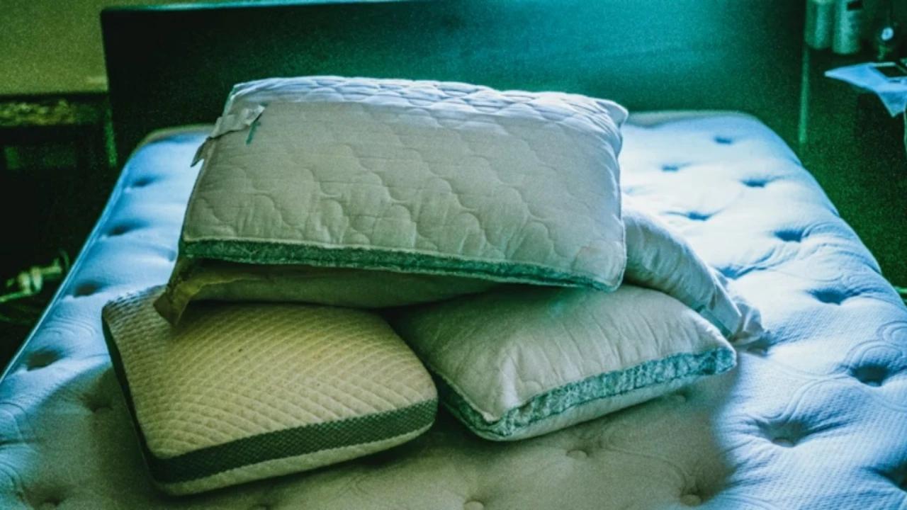 Cara Mengetahui Ada Kutu Kasur di Springbed, Cepat Dikenali untuk Penanganan Maksimal