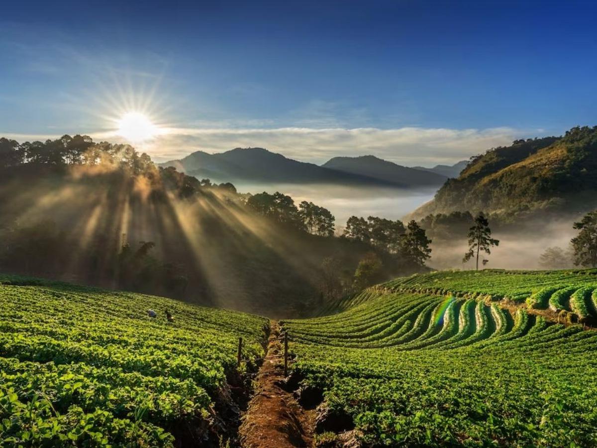 Tertinggi Kedua di Jawa