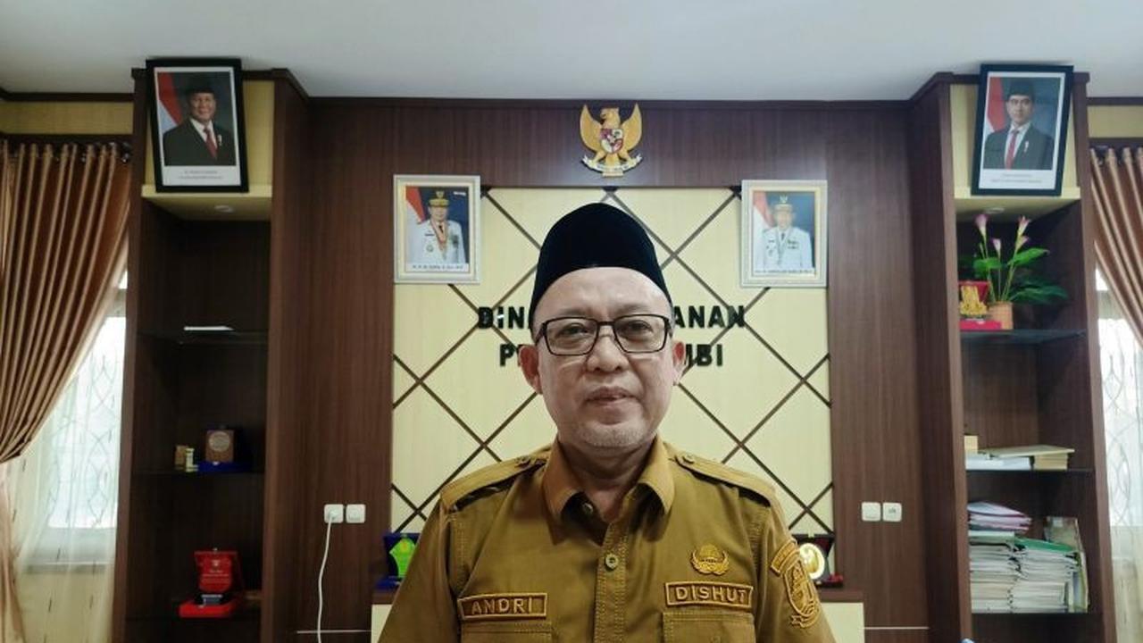 Fakta Unik: Sepertiga Hutan Jambi Masuk Kawasan Konservasi, Ini Alasannya!