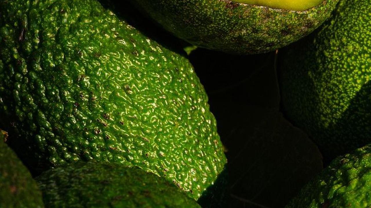 Resep Es Teler Alpukat Berbagai Bahan, Minuman Segar Menyehatkan