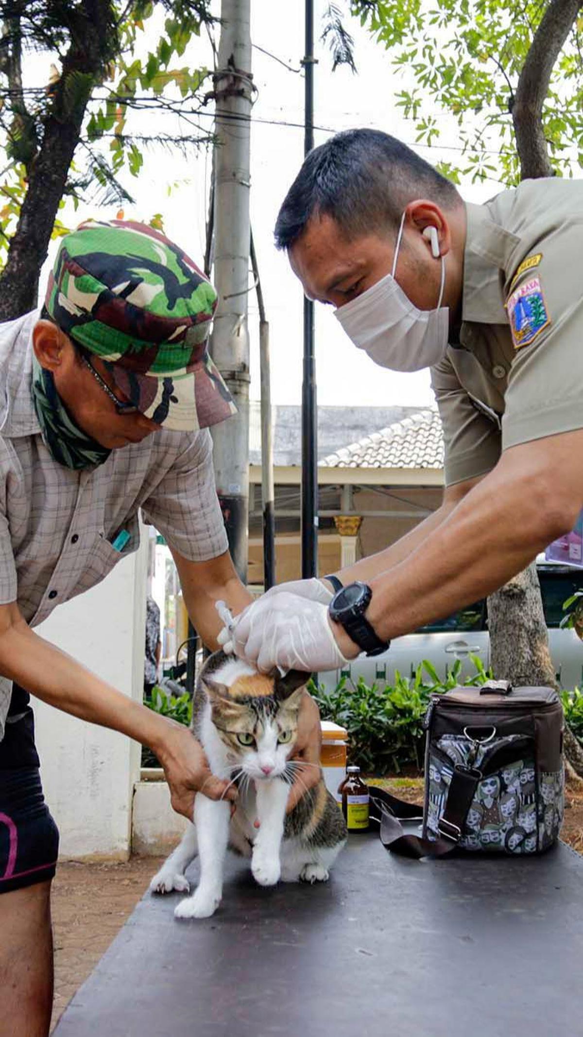 "Kalau ke klinik kan lumayan, apalagi saya punya lima kucing," kata Hari saat membawa kucingnya mengikuti vaksinasi rabies gratis di Taman Perdapa, Tebet, Selasa (26/9).<br>