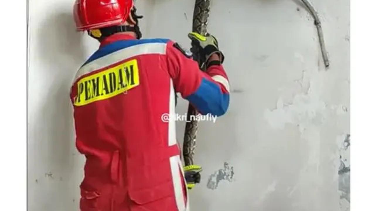 10 Cara Mengusir Ular dari Rumah Tanpa Harus Dibunuh, Metode Aman dan Efektif