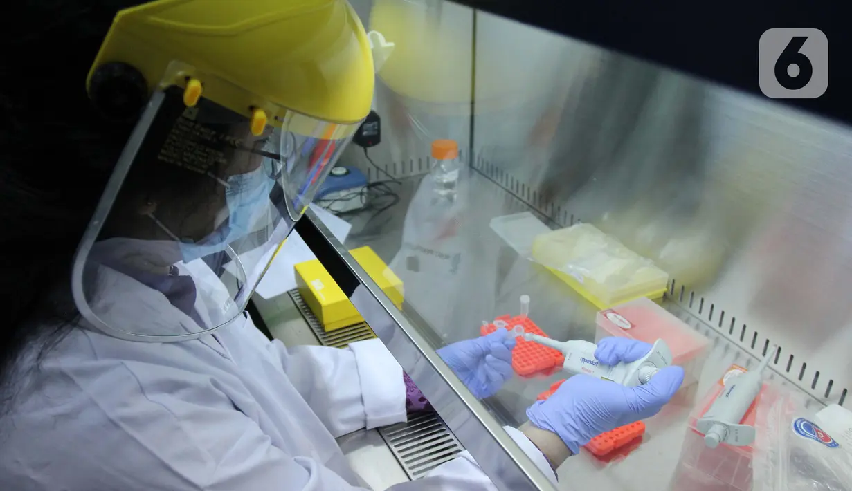 Doktor Tjandrawati Mozef menguji alat deteksi alternatif virus corona di Laboratorium Kimia LIPI Puspiptek Serpong, Tangerang Selatan, Rabu (26/8/2020).   Metode RT LAMP tersebut dapat menentukan Negatif atau Positif seorang pasien yang terpapar COVID-19. (merdeka.com/Arie Basuki)