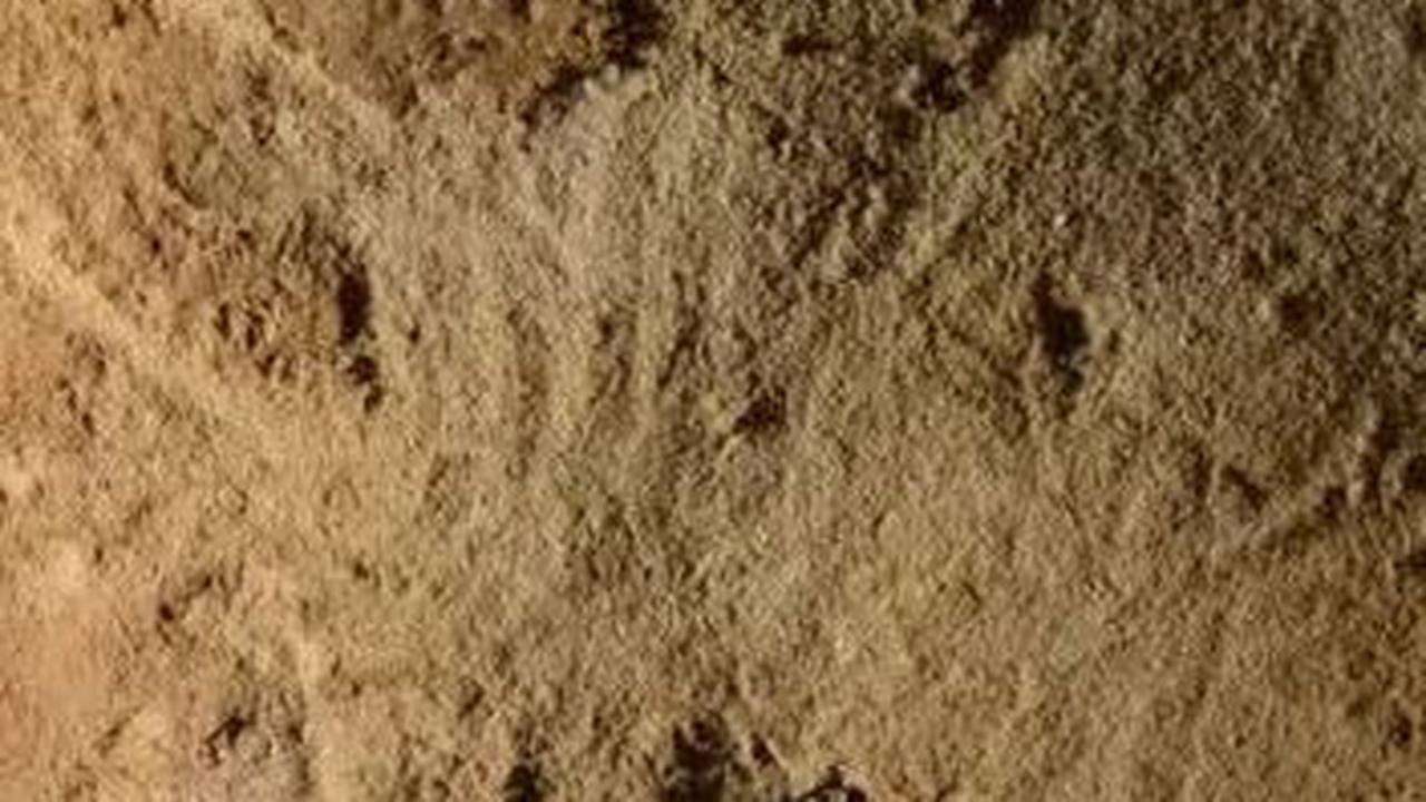 Ukiran Tertua Manusia Neanderthal Ditemukan di Gua Prancis, Maknanya Masih Misterius