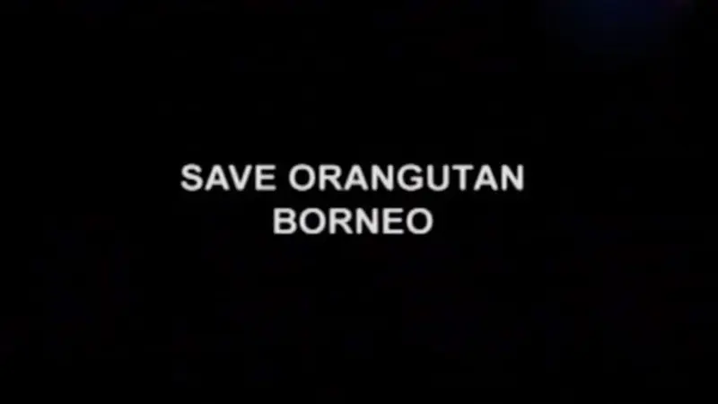 Potret Menembus Batas: Save Orang Utan Borneo