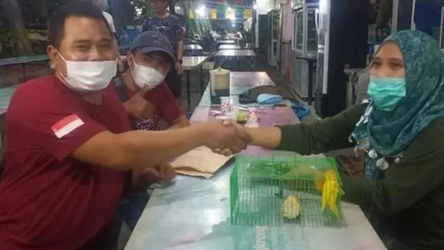 Pria Lamongan tukar mobil CRV dengan lovebird.