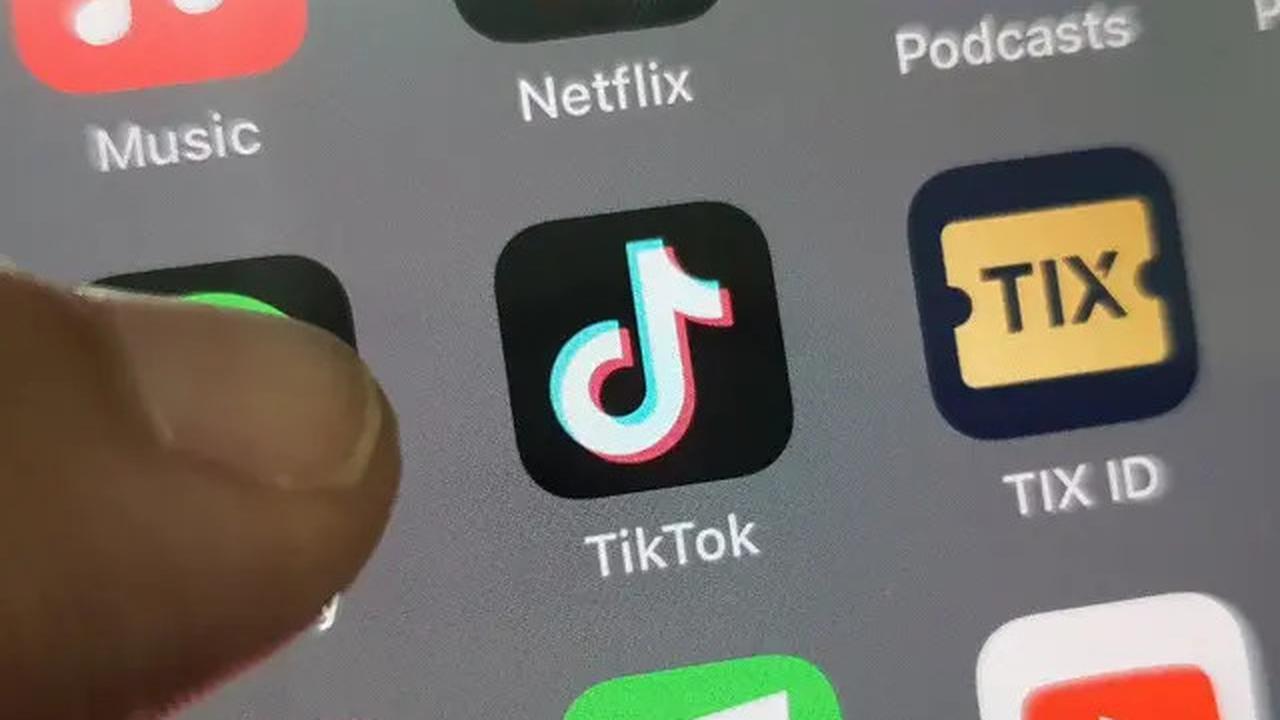 Berapa Harga Gift Paus di TikTok yang Kerap Dibagikan saat Live?