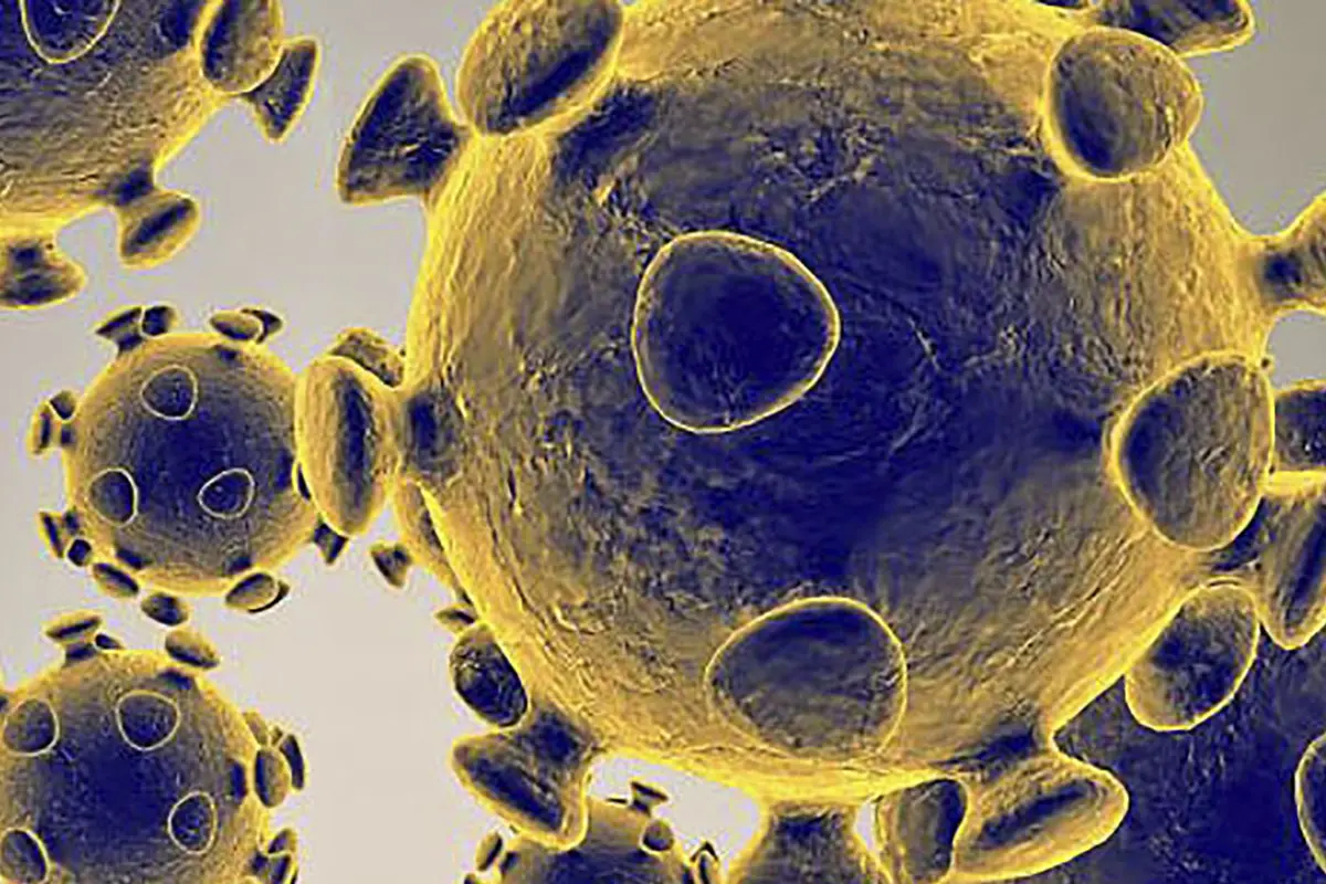 Gambar ilustrasi diperoleh pada 27 Februari 2020 dengan izin dari Food and Drug Administration AS menunjukkan Virus Corona COVID-19. (US Food and Drug Administration/AFP)