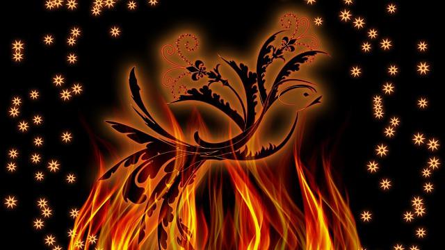 Ilustrasi Burung Phoenix