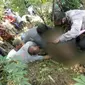 Kakek pencari rumput di tewas setelah tersengat kabel ground PLN di Kebumen. (Foto: Liputan6.com/Polres Kebumen)