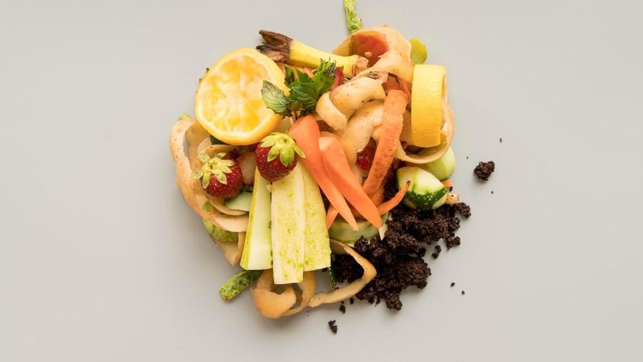 4. Ubah Sisa Makanan Menjadi Pupuk atau Tanaman
