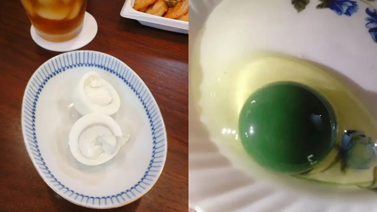 Kuning Telur Berubah Warna