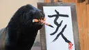 Singa laut 'Leo' (15) usai melukis aksara China tahun babi hutan sebagai persiapan Tahun Baru Imlek di Hakkeijima Sea Paradise, Yokohama, Tokyo (26/12). Imlek yang akan datang akan masuk ke dalam Tahun Babi. (AFP Photo/Kazuhiro Nogi)
