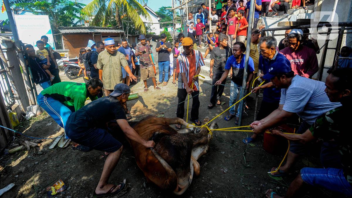 Idul Adha Hitung Mundur di 2025 Tinggal Beberapa Hari Lagi, Ini Libur dan Cutinya