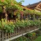 10 Cara Membuat Lorong Kebun Buah Estetik dan Produktif di Rumah