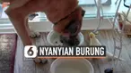 Seekor anjing menyantap makanannya sambil ditemani nyanyian seekor burung. Burung terus bernyanyi hingga sang anjing selesai makan.