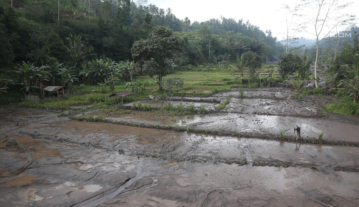 Photo Musim Hujan