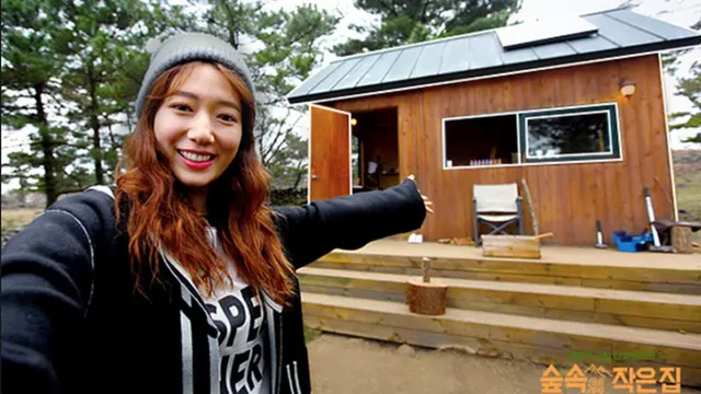 Park Shin Hye