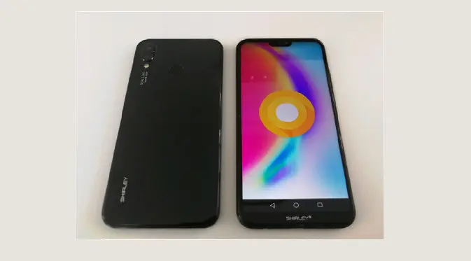 Penampakan desain Huawei P20 Lite yang mirip iPhone X. (Foto: @evleaks)