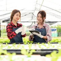 Tren urban farming untuk memenuhi kebutuhan sayur dan buah dengan cukup di rumah saja./copyright depositphotos/Freebird7977