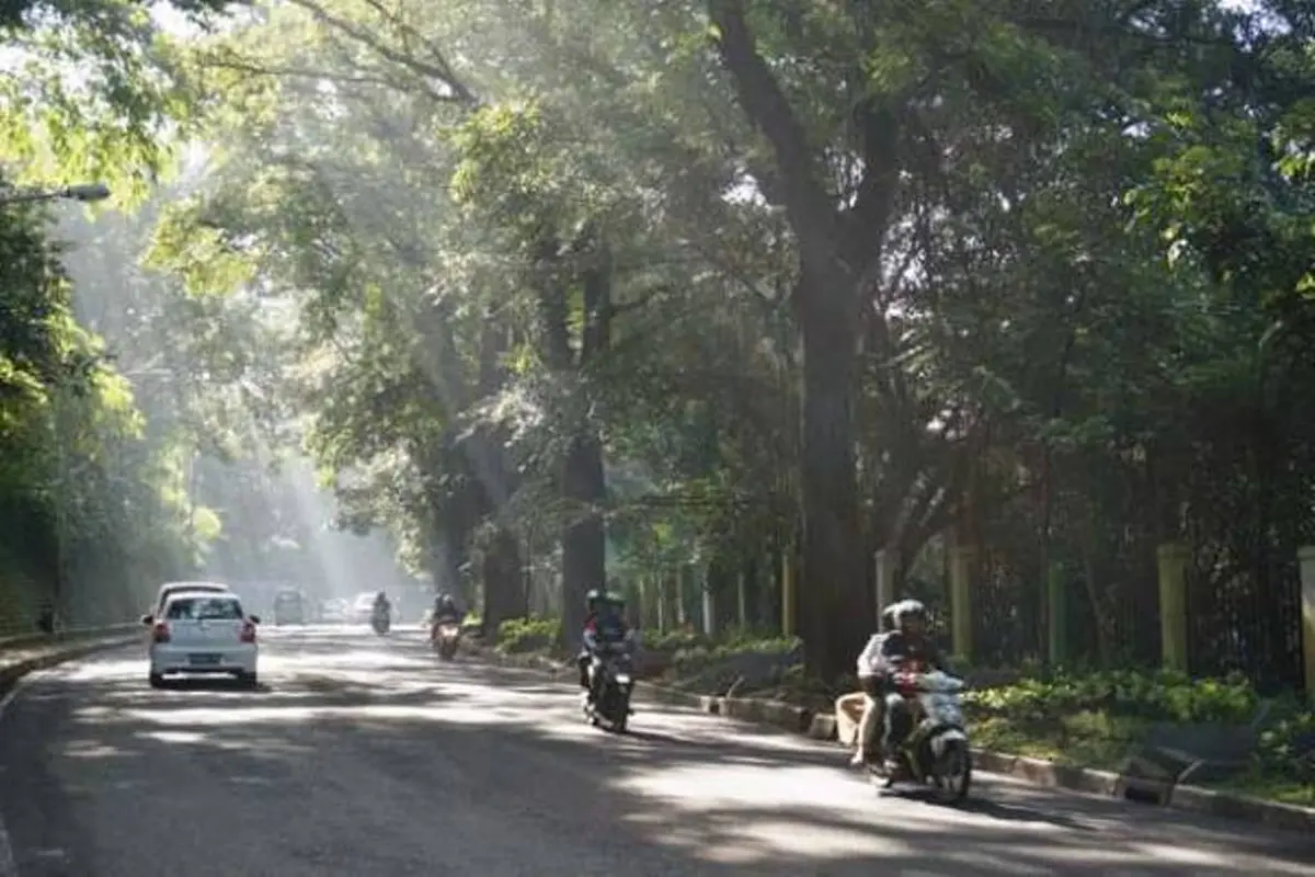 Kisah Menyeramkan Kebun Binatang di Kota Bandung