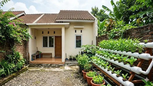 Rumah Kecil Type 45 dengan Kebun Sayur Belakang Rumah (Foto: Gemini AI)