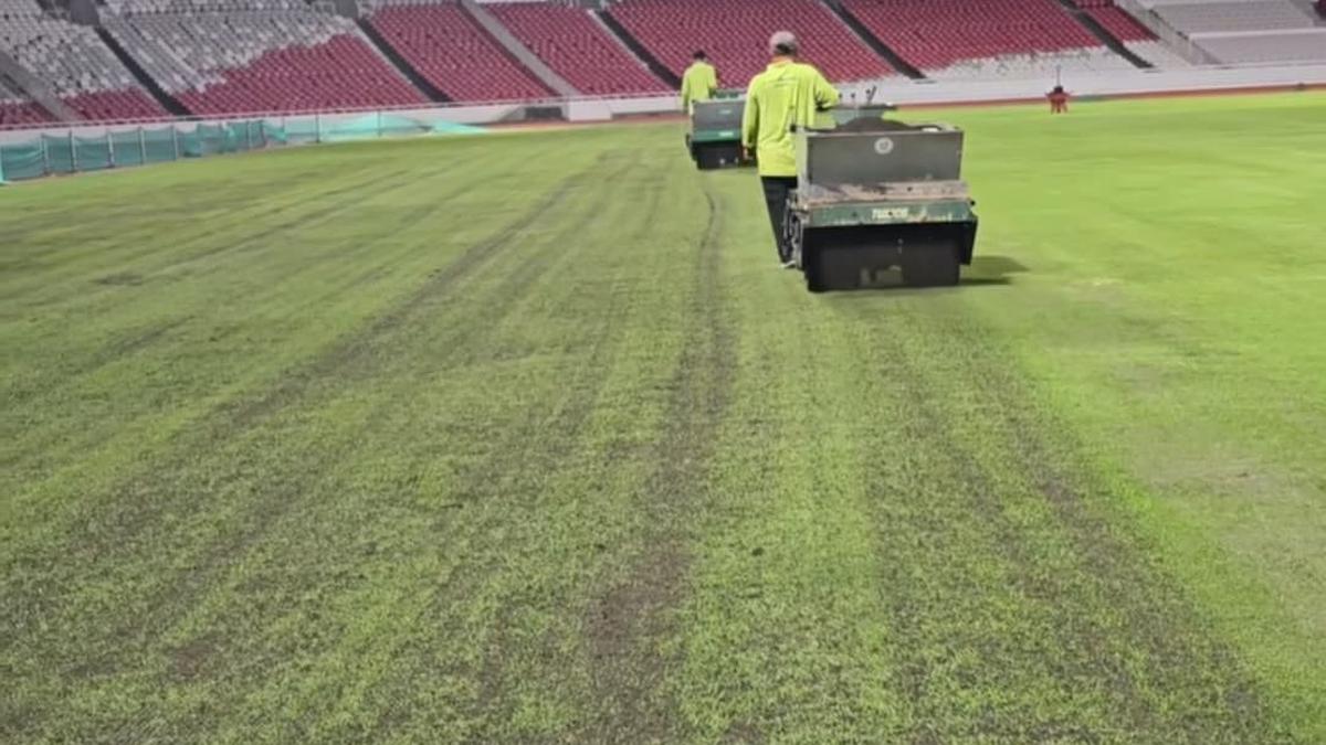 Dengan Proses Topdressing dan Dragmating, Lestarindo Rawat Rumput SUGBK Sebulan Sebelum Laga Timnas Indonesia Melawan Bahrain