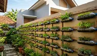 Cara Membuat Dinding Hijau dari Botol Bekas, Buat Rumah Makin Asri dan Cantik