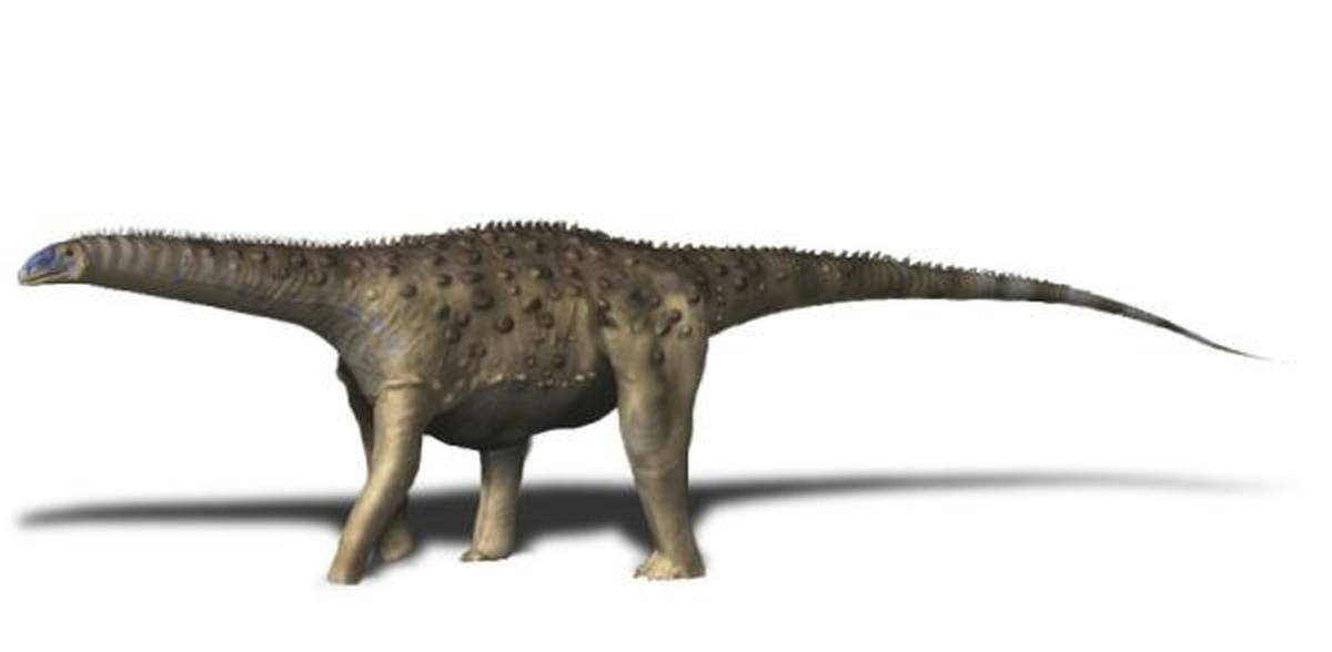 8 Titanosaurus Terbesar: Mengungkap Rahasia Raksasa Zaman Kapur
