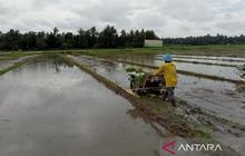 Teknologi Pertanian Bantul: Kunci Peningkatan Produktivitas Panen di Tengah Penyempitan Lahan