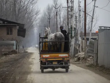 Seorang pria Kashmir mengangkut seekor kuda dengan pengangkut muatan pada hari yang dingin di pinggiran Srinagar, Kashmir yang dikuasai India, Senin (27/12/2021). (AP Photo/Mukhtar Khan)