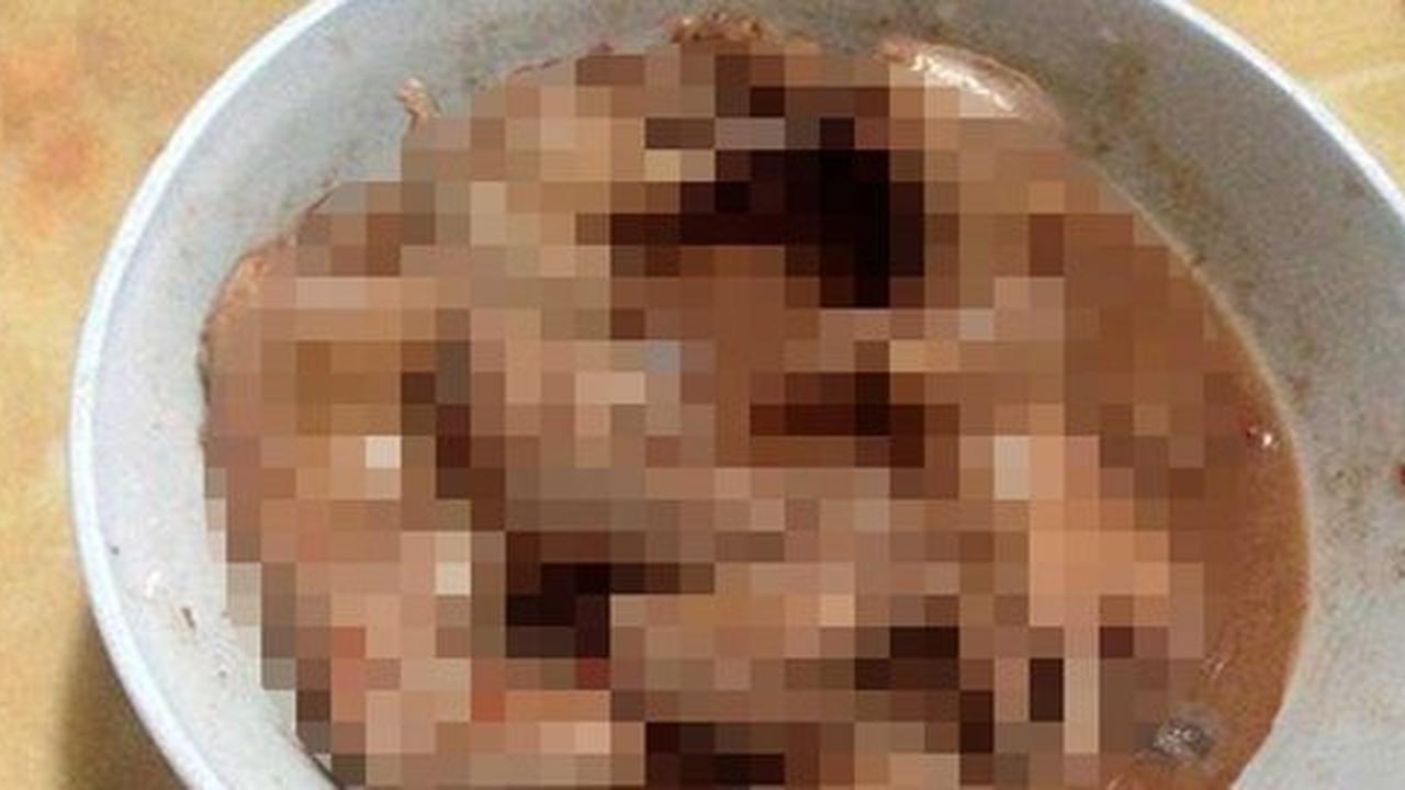 Demi kesehatan, ibu paksa anak makan tikus rebus