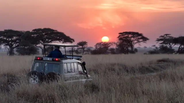 Goodie Bag Nominator Emmy Awards 2022 Berharga Lebih dari Rp1 Miliar, Termasuk Paket Safari ke Afrika