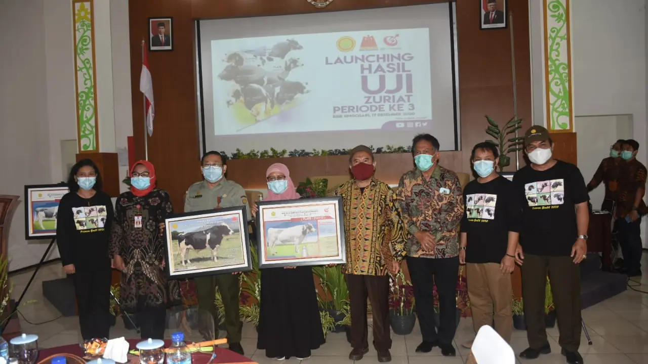 Kementan Tingkatkan Mutu Genetik Sapi Perah Lewat Uji Zuriat