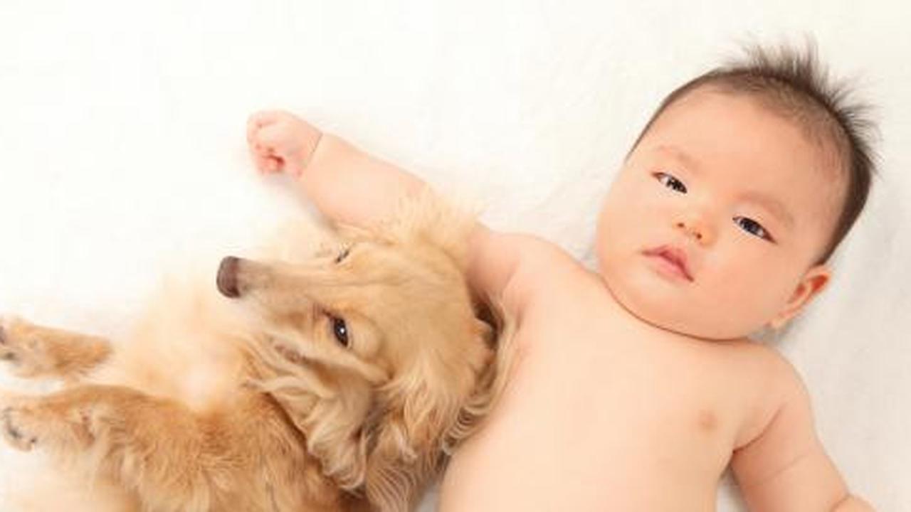 Cara agar sukses program bayi tabung