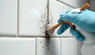 Cara Membersihkan Silikon Kamar Mandi yang Berjamur dengan Mudah