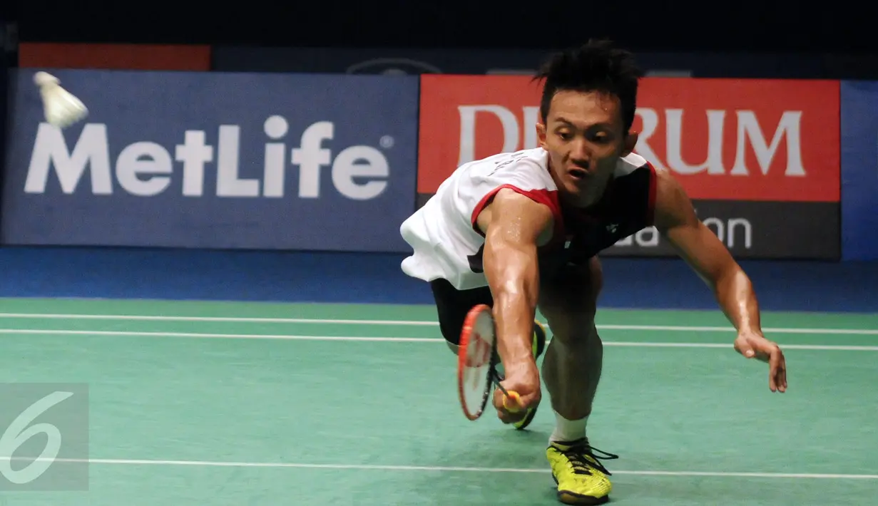 Tunggal putra Indonesia, Ihsan Maulana M mengejar bola saat laga melawan pemain Malaysia Lee Chong Wei di semifinal BCA Indonesia Open 2016, Jakarta, Sabtu (4/6/2016). Ihsan kalah dua set langsung 9-21, 18-21. (Liputan6.com/Helmi Fithriansyah)