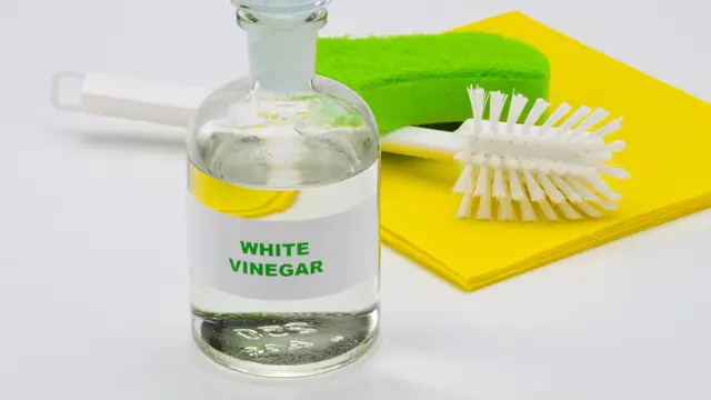 Ilustrasi Cuka Putih