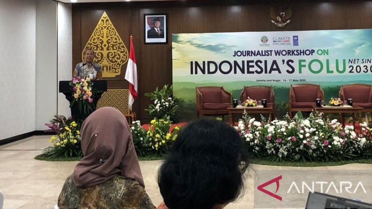 Tahukah Anda? Kementerian Kehutanan Produksi Wood Chips Energi Terbarukan untuk Transisi Energi Nasional