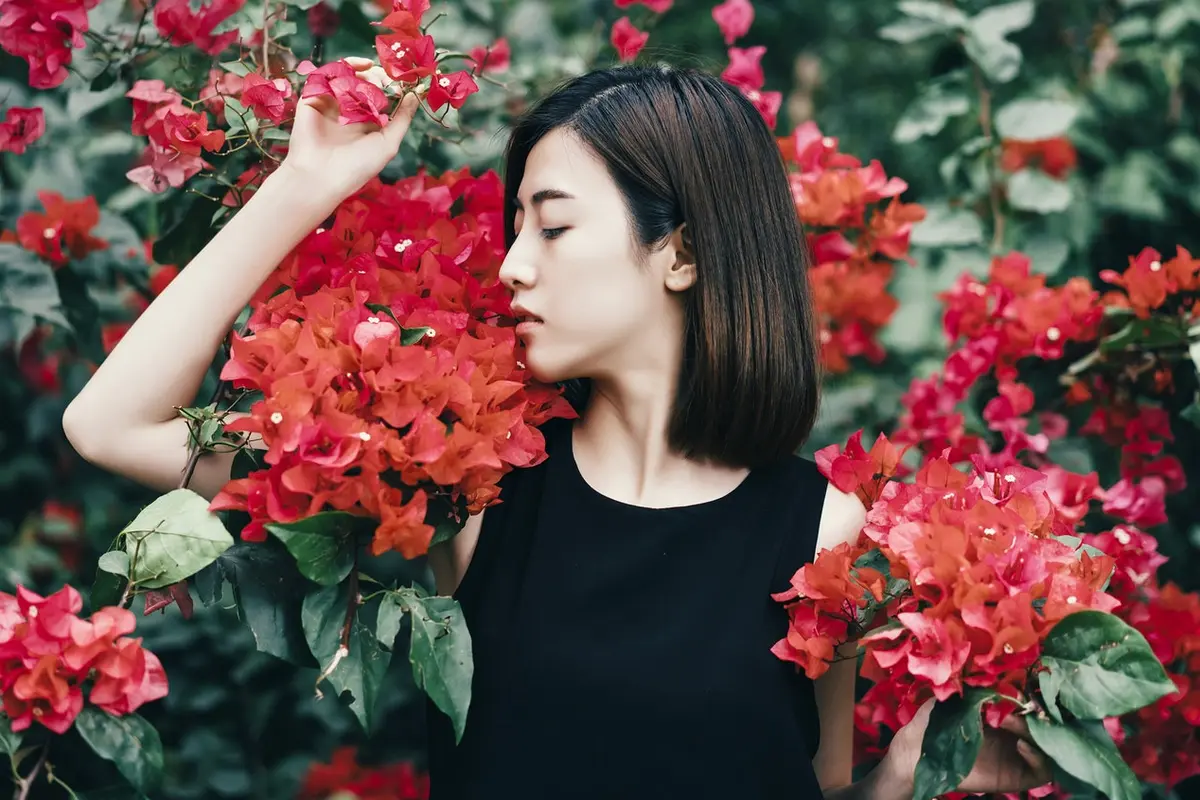 zodiak