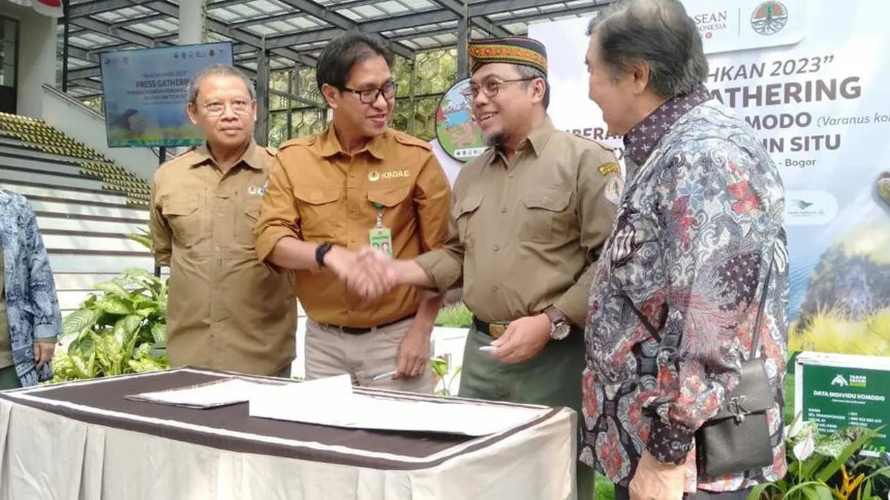 6 Komodo Pulang Kampung, Naik Pesawat Garuda ke Labuan Bajo