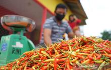 PIHPS Catat Kenaikan Harga Pangan Strategis: Cabai Rawit Tembus Rp74 Ribu/Kg