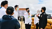 Mentan: Pengembangan Food Estate Diutamakan di Lahan Mineral   