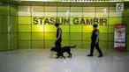 Unit K9 (unit keamanan dengan hewan berupa anjing) Polda Metro Jaya menyisir kawasan Stasiun Gambir, Jakarta, Kamis (1/6). Hal ini dilakukan sebagai upaya mencegah hal yang tidak diinginkan pasca bom Terminal Kampung Melayu. (Liputan6.com/Faizal Fanani)