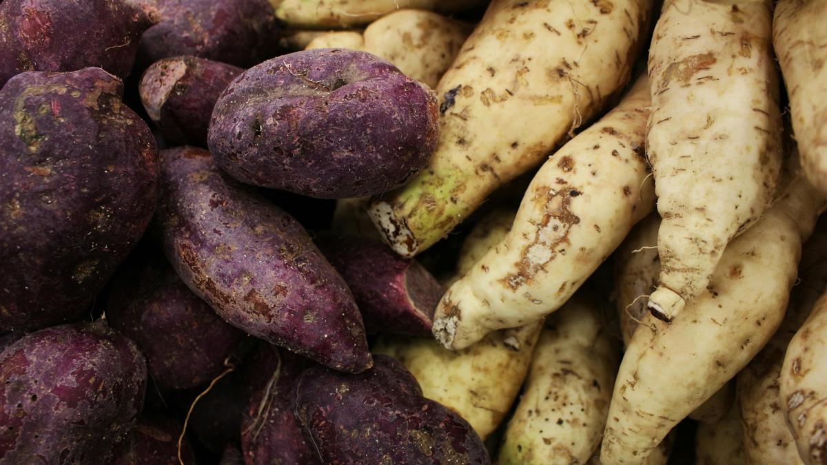 7 Ide Usaha dari Ubi yang Menjanjikan, Modal Kecil Untung Besar