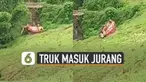 Beredar video detik-detik truk sayur terguling masuk ke dalam jurang. Beruntung pengemudi truk berhasil selamat.