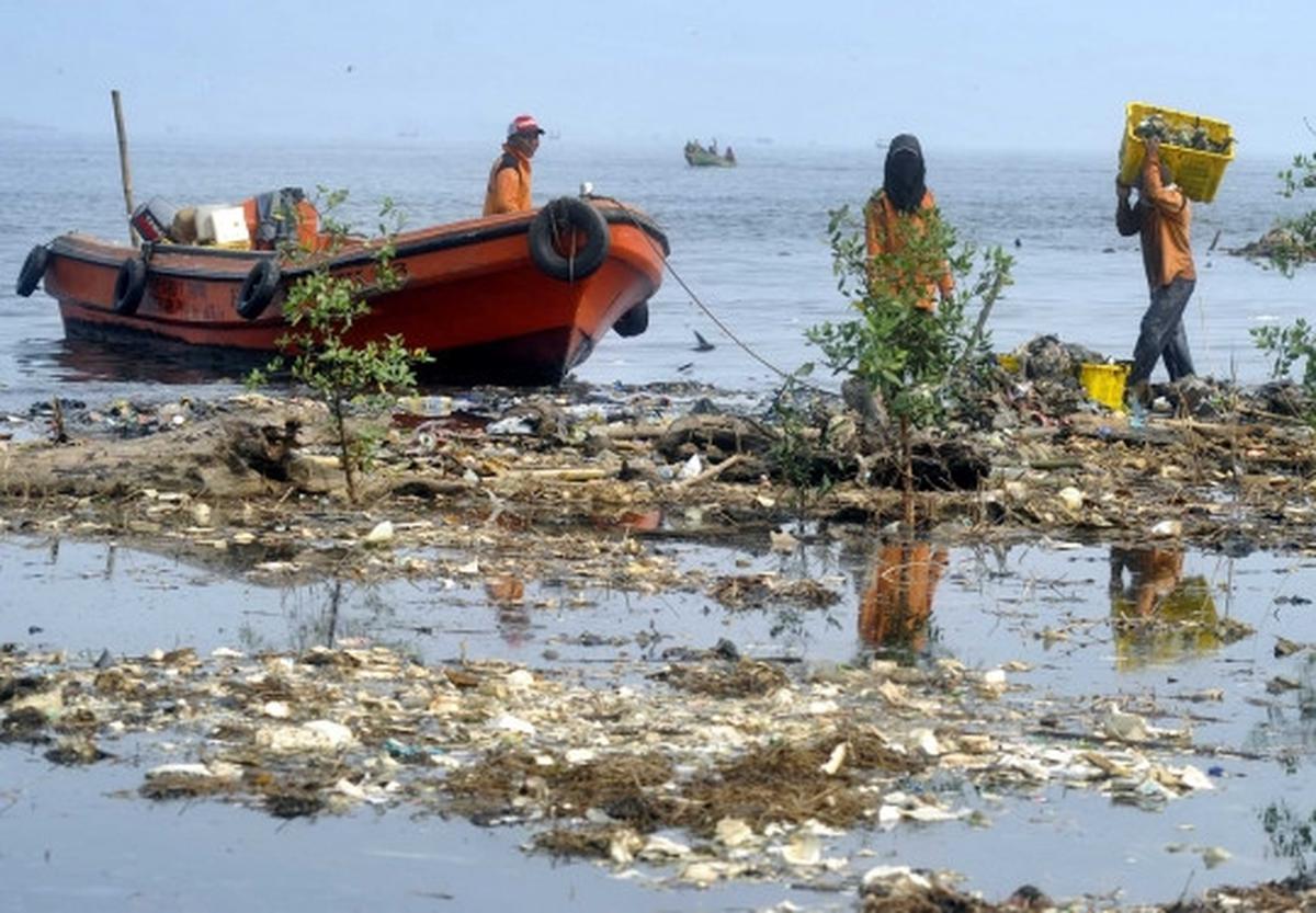Melihat aksi para penjaga kebersihan pantai