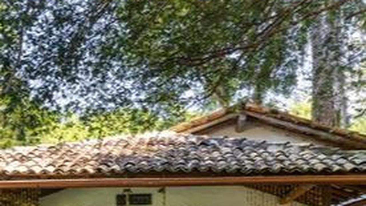 Desain Rumah 7x9 Tampak Depan Konsep Natural