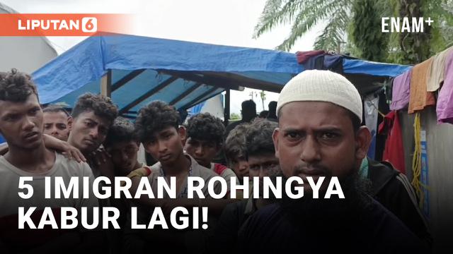 5 Imigran Rohingya Kabur dari Tempat Penampungan di Aceh Timur