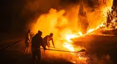 Warga setempat dan petugas pemadam kebakaran berjuang memadamkan kebakaran hutan di Deliblatska Pescara (Deliblato Sands), dekat desa Dubovac, sekitar 70 kilometer di timur laut Beograd, Serbia, Minggu, 9 Agustus 2026. (AFP/  Uros Arsic )